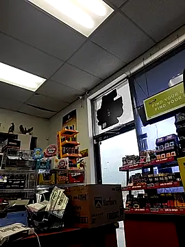 Cassaroll333 online show from October 2025 03:44:02 PM