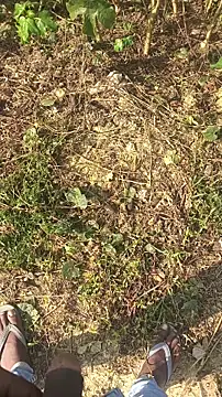 BiggerDickGuy online show from November 2025 04:38:01 AM