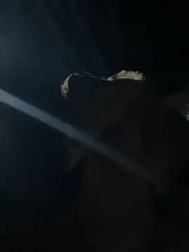 hello-cute online show from November 2025 11:19:02 PM