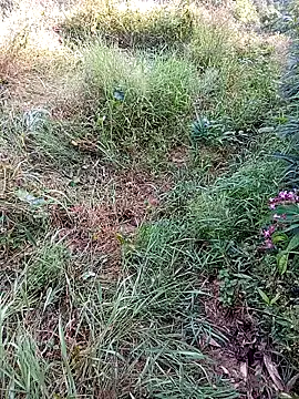 jerry-xx online show from October 2025 12:53:02 AM