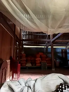 jerry-xx online show from December 2025 08:05:02 AM