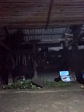 jerry-xx online show from March 2026 10:11:01 PM