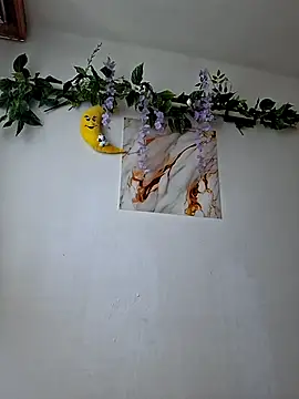 Snapshot of Nika_aa chatting on July 2026 10:45:01 AM Nika aa online show from July 2026 10:45:01 AM