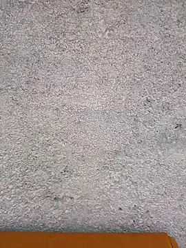 Snapshot of Ut_kanchna chatting on November 2025 12:43:01 AM Ut kanchna online show from November 2025 12:43:01 AM