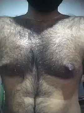 SL BEAR online show from November 2025 06:23:02 PM