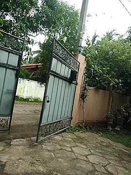 SL BEAR online show from December 2025 07:57:01 AM