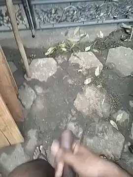 SL BEAR online show from December 2025 01:37:01 AM