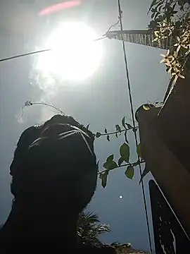 SL BEAR online show from April 2026 06:47:02 AM