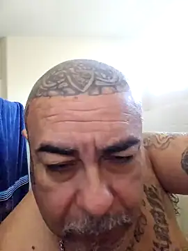 Snapshot of B1GLO chatting on February 2026 04:31:02 PM B1GLO online show from February 2026 04:31:02 PM