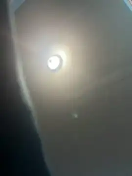 Steven-1989 online show from November 2025 09:43:01 AM