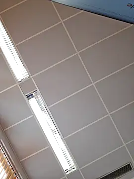 Snapshot of toyboyfin chatting on October 2025 11:11:02 AM toyboyfin online show from October 2025 11:11:02 AM