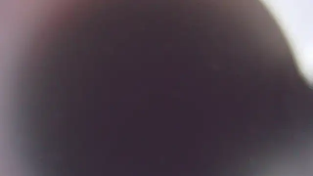 Snapshot of Stefano_Calle chatting on December 2025 11:42:01 AM Stefano Calle online show from December 2025 11:42:01 AM