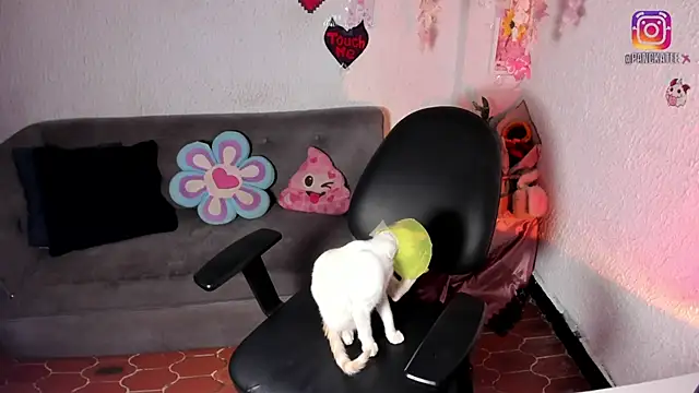 Emilycollei online show from April 2026 07:45:01 AM