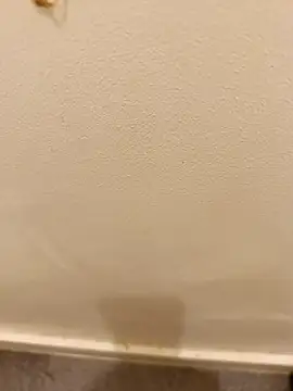 Snapshot of _Gabriela_5Live chatting on November 2025 05:07:01 PM Gabriela 5Live online show from November 2025 05:07:01 PM