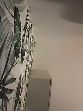 Snapshot of couplegoalsssz chatting on November 2025 12:03:02 AM couplegoalsssz online show from November 2025 12:03:02 AM