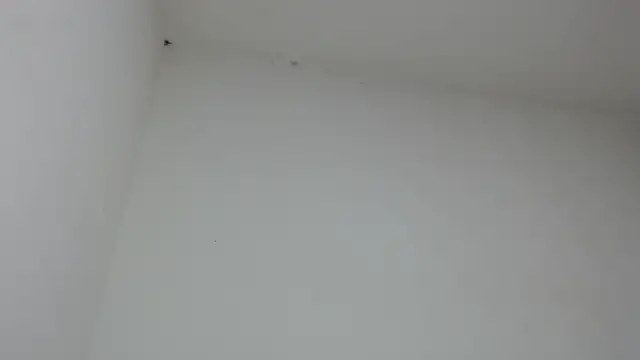 Snapshot of drako_monster chatting on January 2026 09:46:01 PM drako monster online show from January 2026 09:46:01 PM