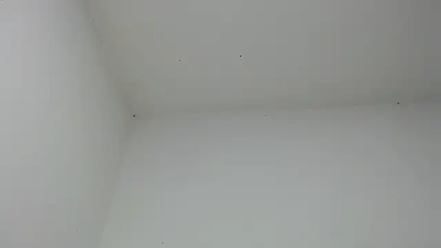 Snapshot of drako_monster chatting on December 2025 06:51:02 AM drako monster online show from December 2025 06:51:02 AM