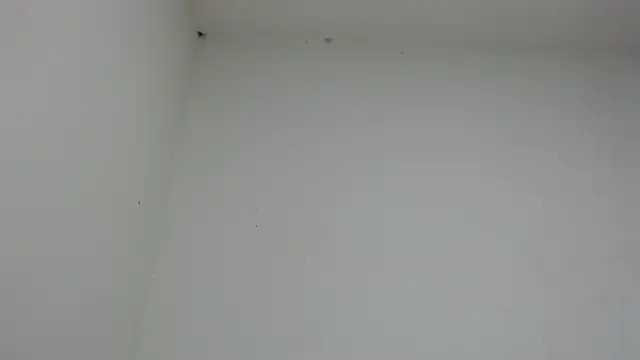 Snapshot of drako_monster chatting on January 2026 10:46:01 PM drako monster online show from January 2026 10:46:01 PM