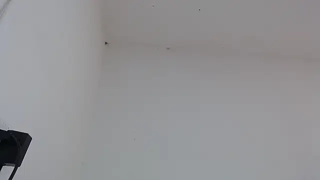 Snapshot of drako_monster chatting on February 2026 03:18:01 PM drako monster online show from February 2026 03:18:01 PM