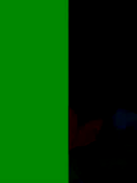 Co punam online show from November 2025 03:23:02 AM