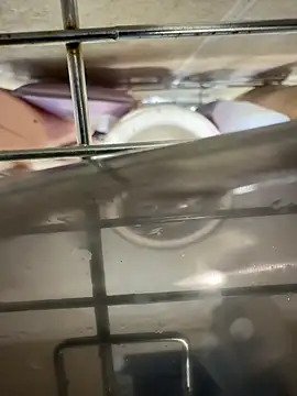 Beastyfuck online show from November 2025 05:08:01 AM