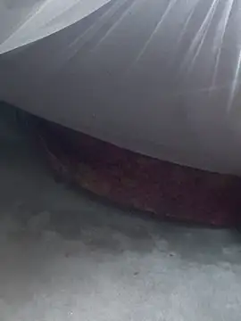 gio-thu online show from February 2026 02:42:02 AM