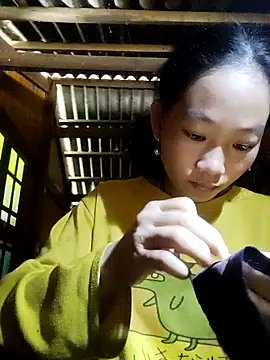 Snapshot of gio-thu chatting on November 2025 04:17:02 AM gio-thu online show from November 2025 04:17:02 AM