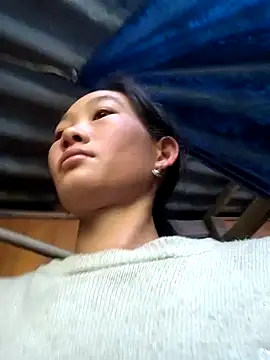 Snapshot of gio-thu chatting on November 2025 07:52:03 AM gio-thu online show from November 2025 07:52:03 AM