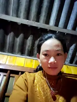 Snapshot of gio-thu chatting on November 2025 04:11:01 PM gio-thu online show from November 2025 04:11:01 PM