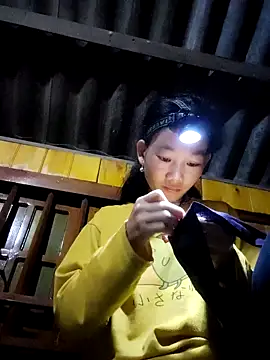 Snapshot of gio-thu chatting on November 2025 04:33:01 PM gio-thu online show from November 2025 04:33:01 PM