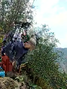 gio-thu online show from April 2026 09:02:01 AM