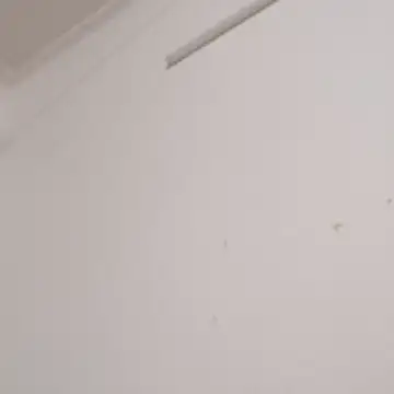 Anchal-8798 online show from December 2025 06:09:01 PM