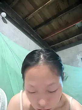 Zerin nova online show from November 2025 07:02:02 AM