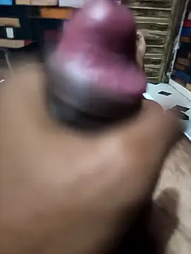 Snapshot of siddBus chatting on October 2025 01:45:02 PM siddBus online show from October 2025 01:45:02 PM