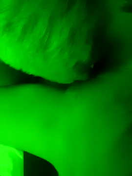 EleRohde online show from March 2026 04:19:01 PM