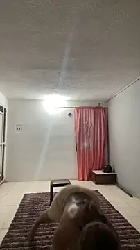 thepicis online show from March 2026 12:26:01 AM