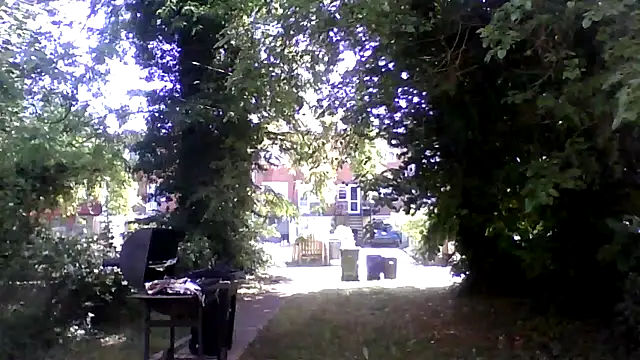 dezzidavill online show from May 2026 01:52:01 PM