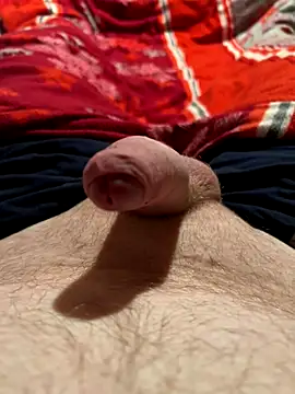 28winzi online show from November 2025 09:51:02 PM