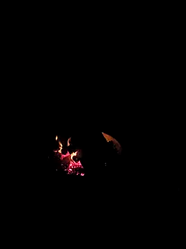 Floridaboy863 online show from February 2026 03:35:02 AM