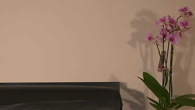 AbrilColls  online show from March 2026 12:17:02 AM