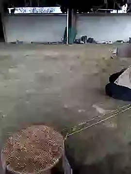 marylove-cc online show from November 2025 02:12:02 AM