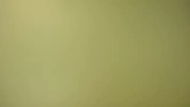 mileshake online show from October 2025 01:49:01 AM