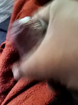 lexxymoron online show from November 2025 02:59:02 AM