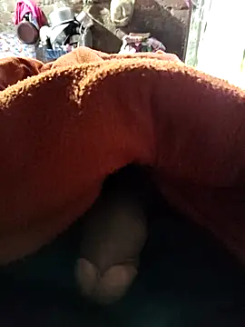 lexxymoron online show from November 2025 03:28:02 AM