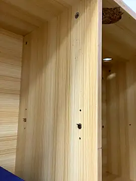 Winona88 online show from November 2025 09:02:02 AM