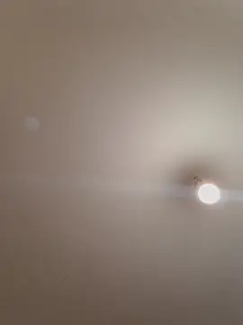 labellerose online show from November 2025 06:11:01 PM