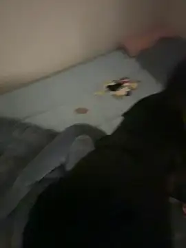 MISA 02 online show from February 2026 10:02:02 AM