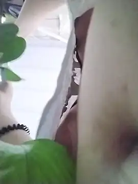 naharasoller online show from November 2025 05:34:01 PM