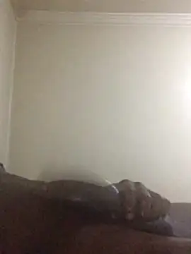 Snapshot of Sahrawi-fhal chatting on October 2025 12:44:02 AM Sahrawi-fhal online show from October 2025 12:44:02 AM