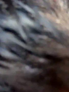 Swweet Miia1 online show from March 2026 03:06:02 AM